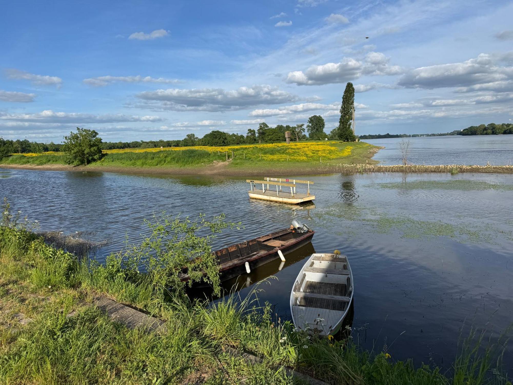Gite Loirizon Vue Loire 4 Personnes Ingrandes  Zewnętrze zdjęcie
